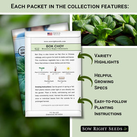 Sow Right Seeds bok choy seeds in a packet for crisp Asian greens.
