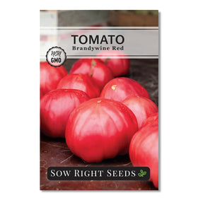 Sow Right Seeds Brandywine Red tomato seeds packet for heirloom beefsteak tomatoes