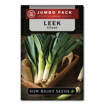 Sow Right Seeds giant leek bulk packet front view, great for bulk planting.