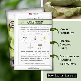 Sow Right Seeds Burpless Persian cucumber ready for fresh salads