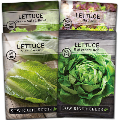 Sow Right Seeds Buttercrunch lettuce packet for fresh garden salads.