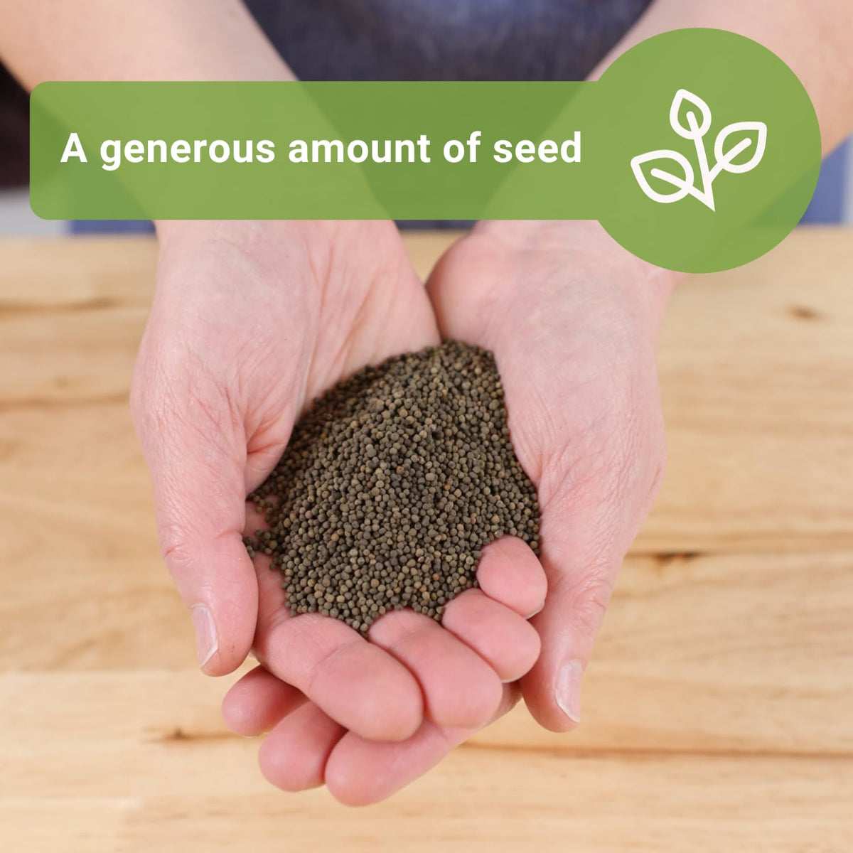Sow Right Seeds California Poppy seeds with clear instructions for easy growing success