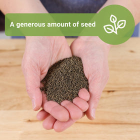 Sow Right Seeds California Poppy seeds with clear instructions for easy growing success