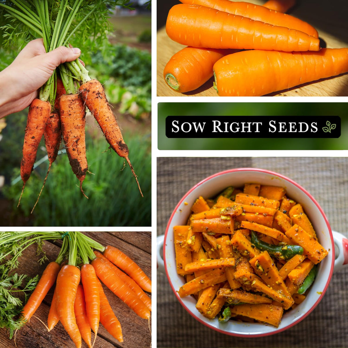 Sow Right Seeds carrot planting guide: 1/4 inch depth and 1-2 inch spacing
