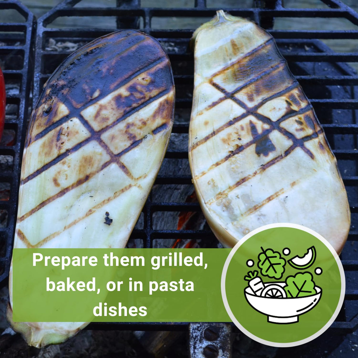 Harvest-ready Casper eggplant fruit from a robust backyard variety