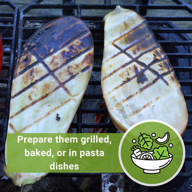 Harvest-ready Casper eggplant fruit from a robust backyard variety