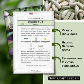 Casper eggplant seedling in soil from Sow Right Seeds ready to grow