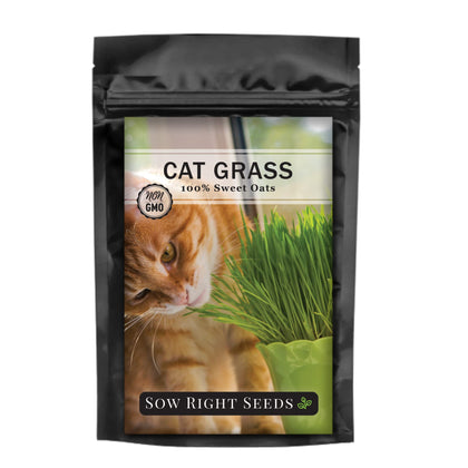 Brand Sow Right Seeds cat grass seeds in bulk, ready for convenient indoor planting.
