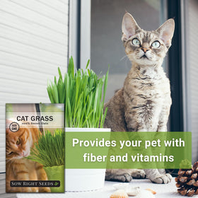 Sow Right Seeds cat grass reaches 4-6 inches tall for pet friendly greens.