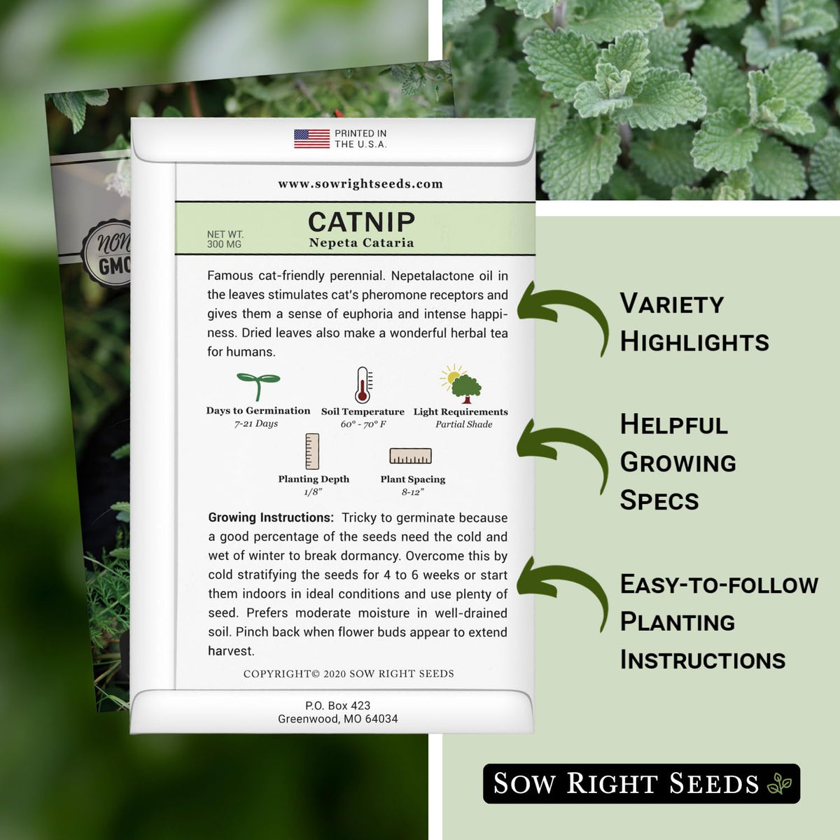 Sow Right Seeds catnip plant leaf closeup highlighting vibrant green foliage for cats.