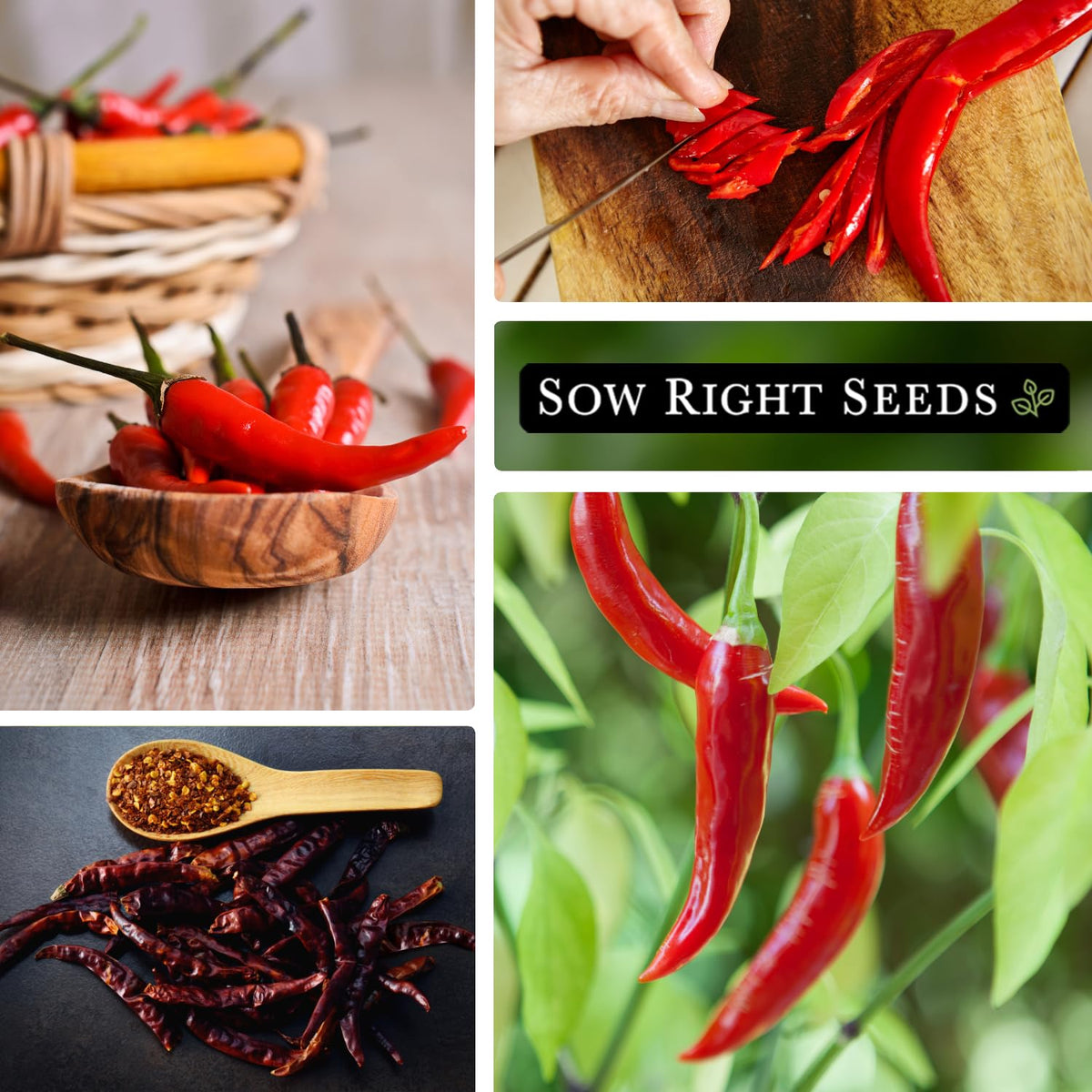Sow Right Seeds Cayenne harvested peppers—ripe pods ideal for roasting.