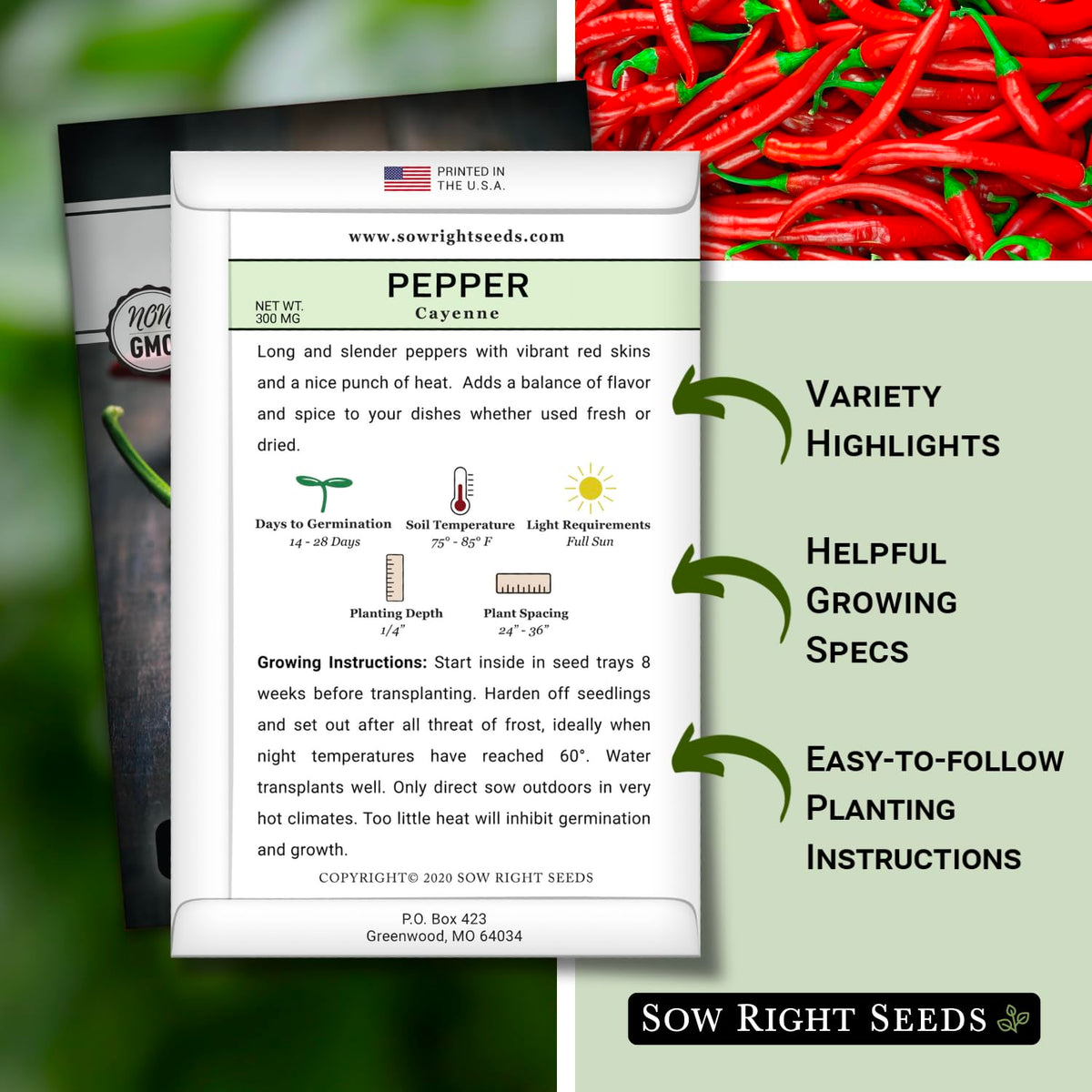Sow Right Seeds Cayenne seedling emerging—warm soil readiness for planting.