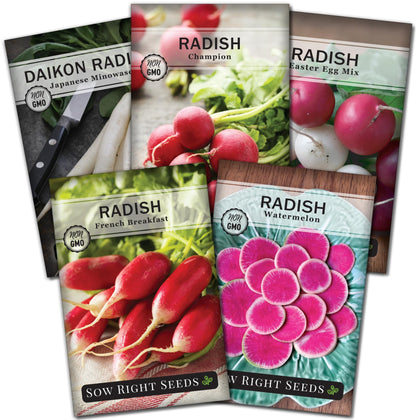 Sow Right Seeds Champion radish seeds packet for quick harvest in home gardens.