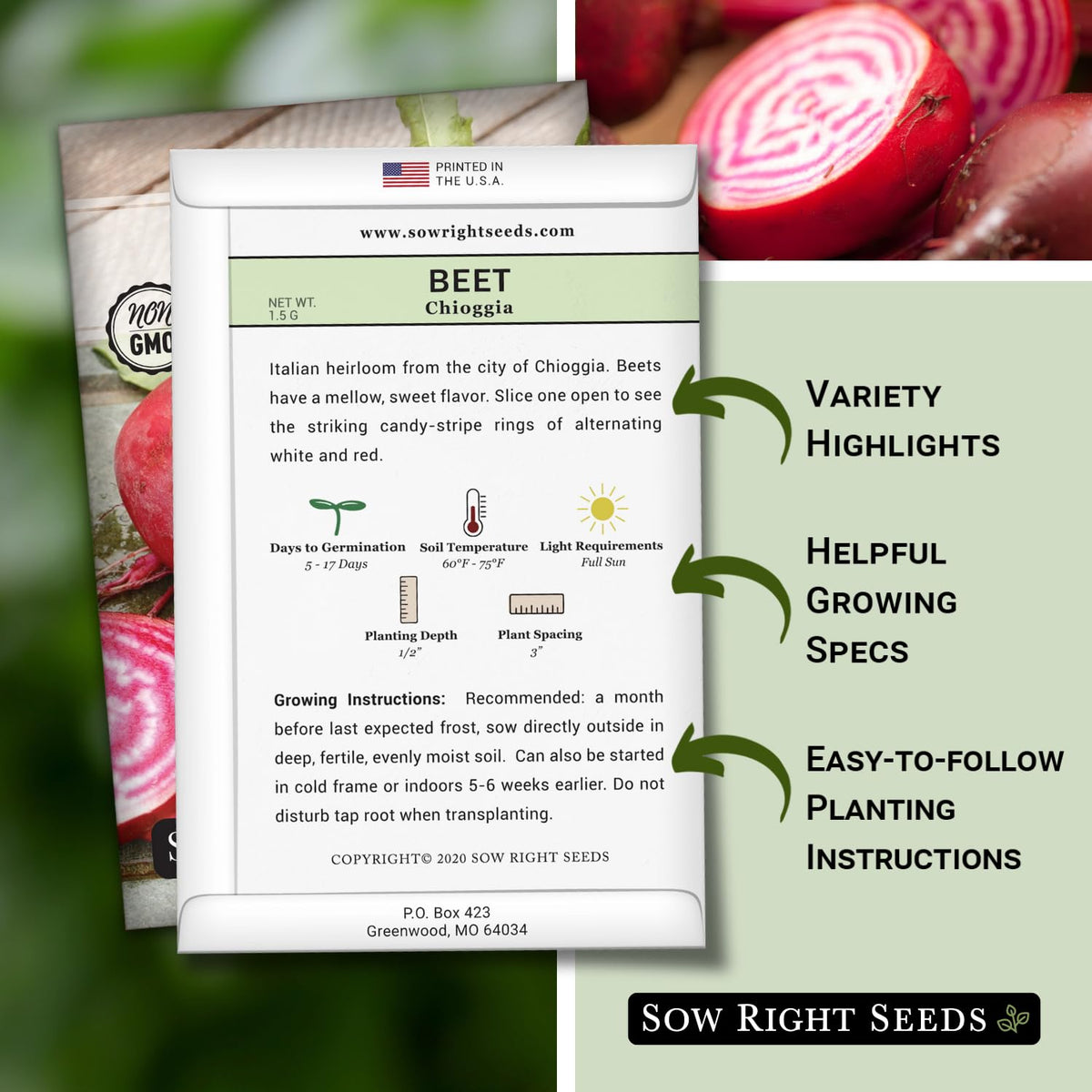Sow Right Seeds Chioggia beets germination shot, quick sprouts in warm soil.