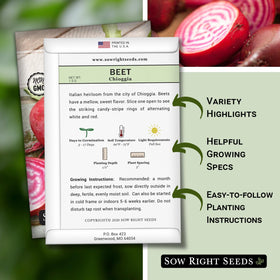 Sow Right Seeds Chioggia beets germination shot, quick sprouts in warm soil.