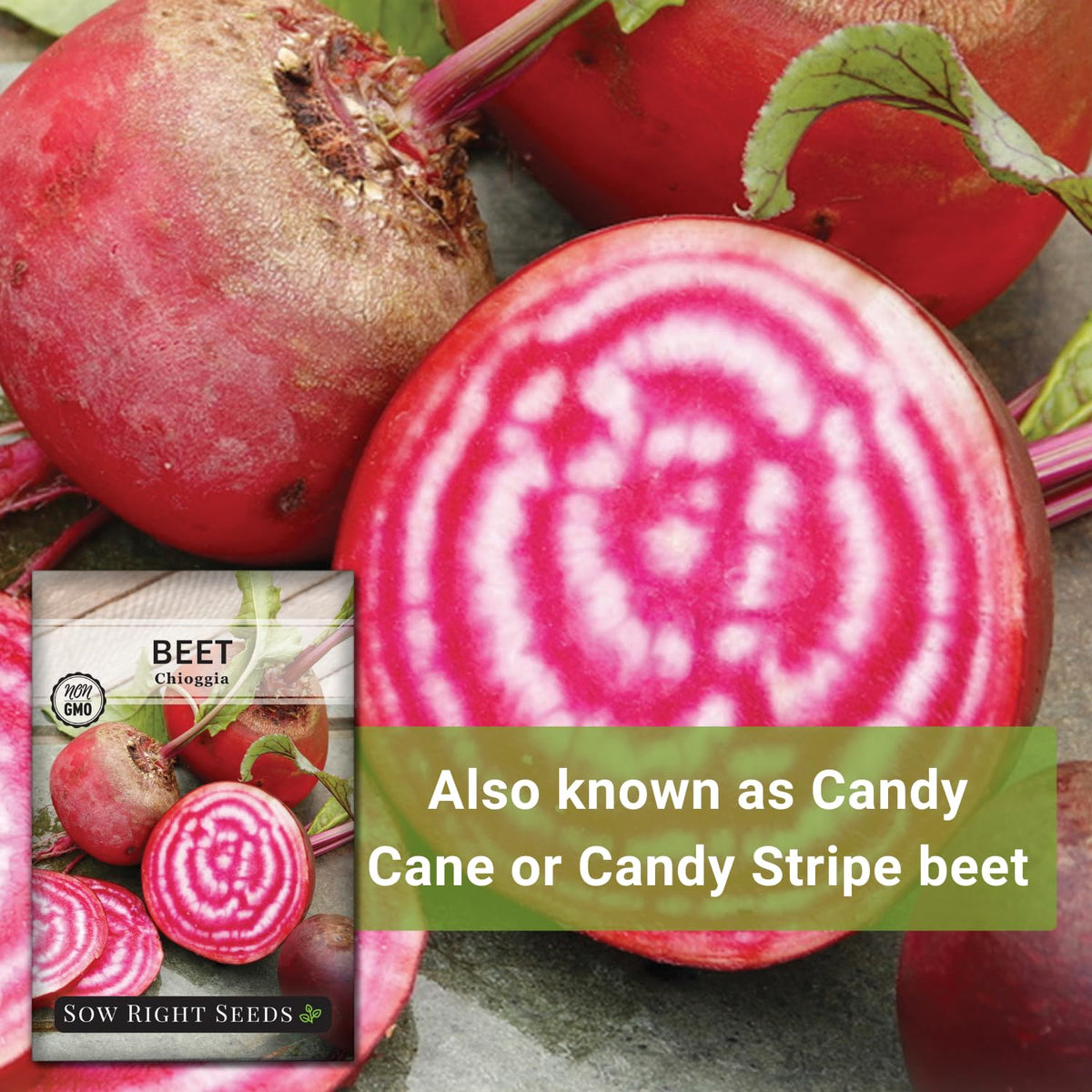 Sow Right Seeds Chioggia beets on a plate reveal color and flavor.