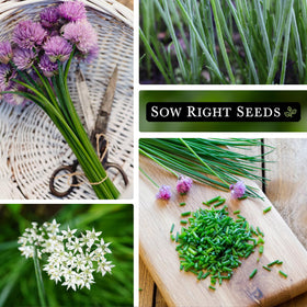 Sow Right Seeds easy-to-grow instructions for quick, confident sowing.