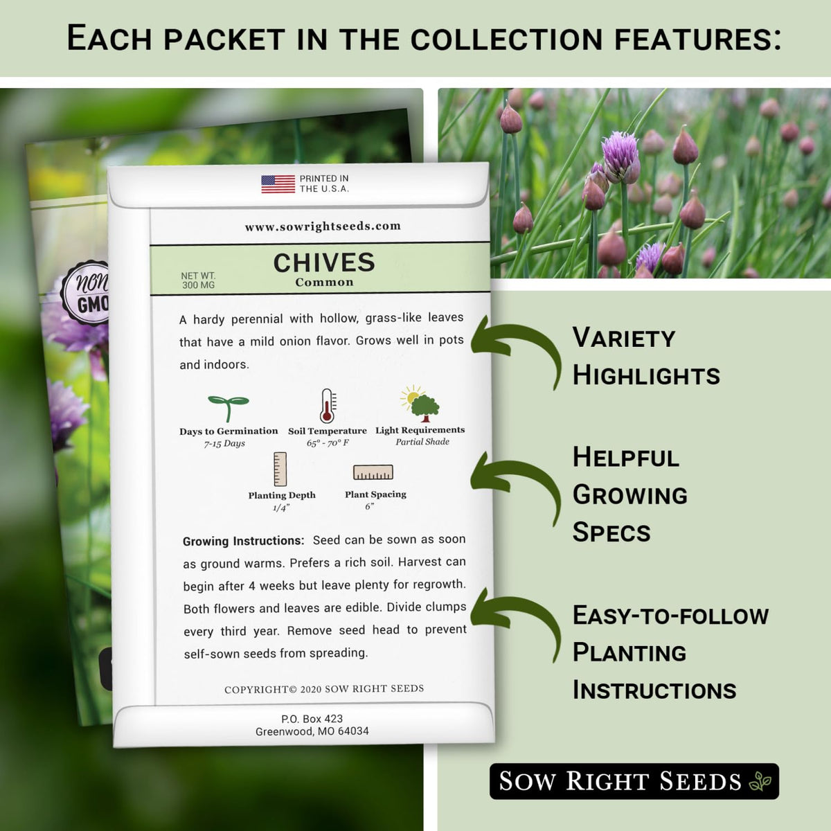 Sow Right Seeds indoor-outdoor chives planting guide illustration for versatile growing.
