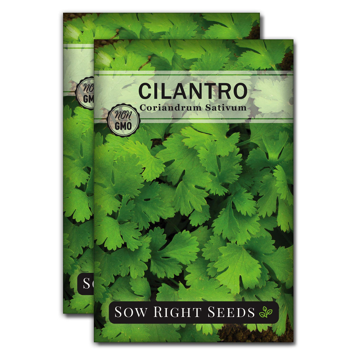 Sow Right Seeds cilantro seeds packaging for a gift-ready kitchen herb garden.