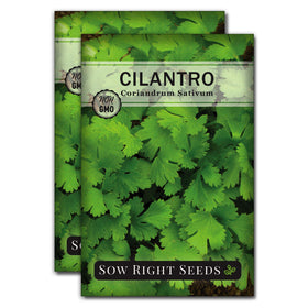 Sow Right Seeds cilantro seeds packaging for a gift-ready kitchen herb garden.