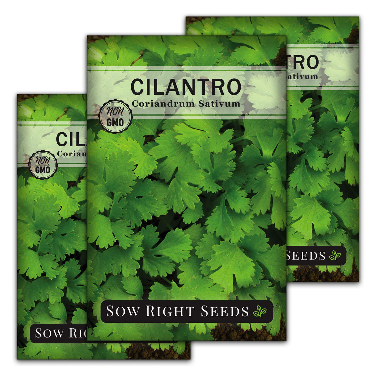 Sow Right Seeds cilantro seeds packet shows colorful packaging for easy kitchen herb gardening.