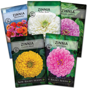 Sow Right Seeds Zinnia Luminosa packet cover, vibrant pink blooms for bright garden color.