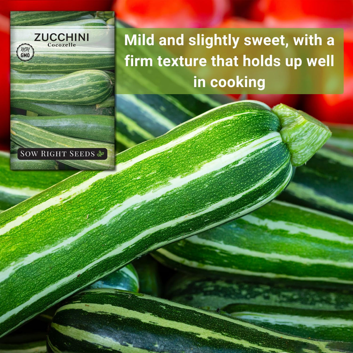 Sow Right Seeds Cocozelle zucchini thriving in full sun, ready in 50-60 days.