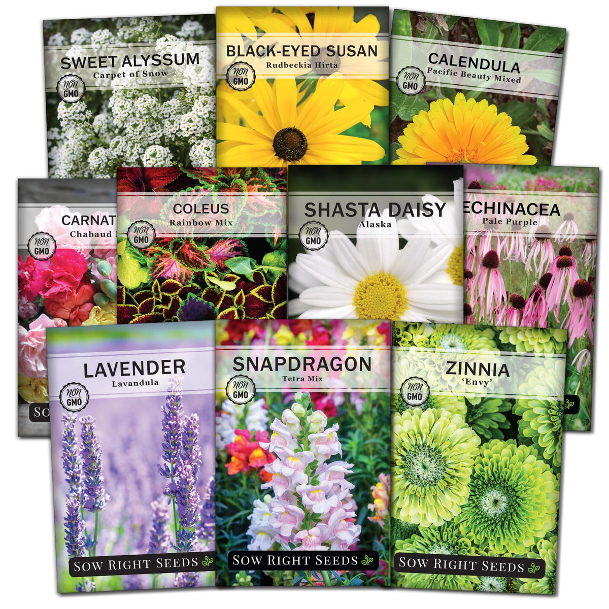 Sow Right Seeds Coleus Rainbow Mix packet with bright foliage for shade garden borders.