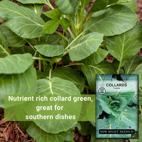 Sow Right Seeds plant-spacing guide shows 18–24 inches apart for healthy growth