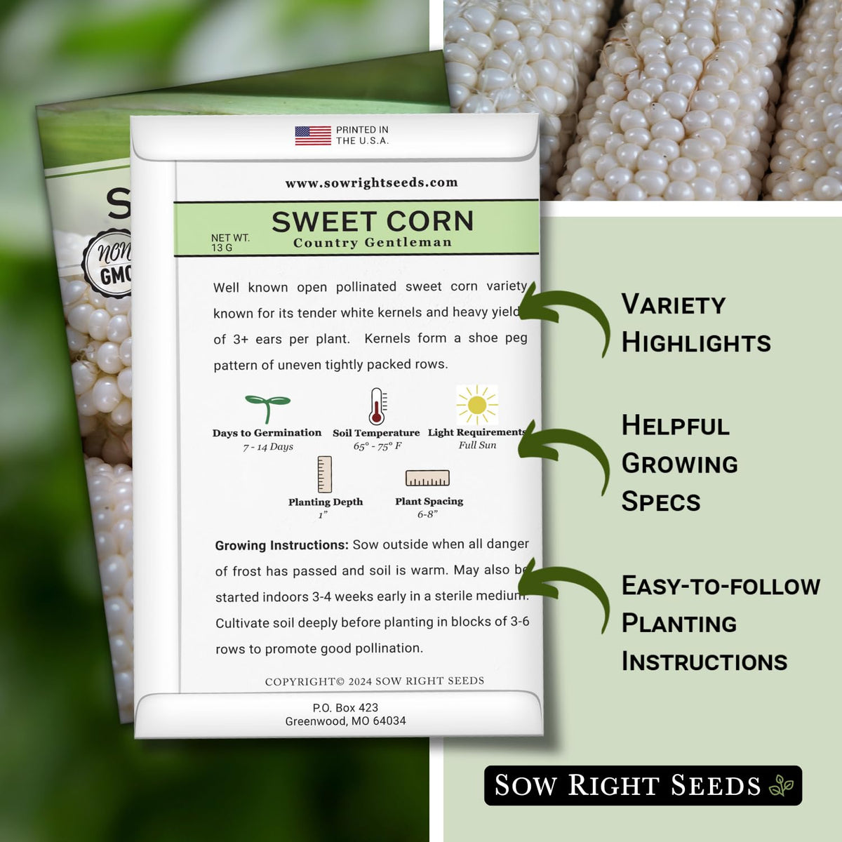 Sow Right Seeds Country Gentleman seeds germinating in warm soil for a quick start.