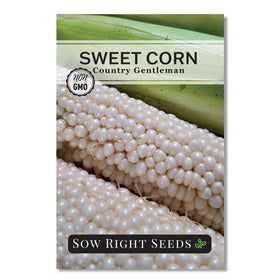 Country Gentleman sweet corn seed packet from Sow Right Seeds, ideal for home garden planting.