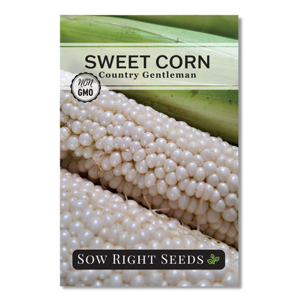Country Gentleman sweet corn seed packet from Sow Right Seeds, ideal for home garden planting.