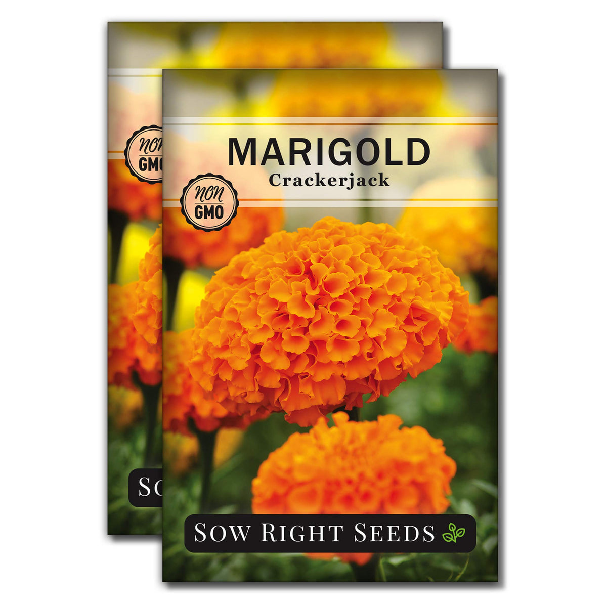 Sow Right Seeds Crackerjack marigold seeds packet ready for planting with future color