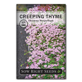 Sow Right Seeds Creeping Thyme seed packet with lavender blooms for color in beds.