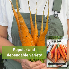 Sow Right Seeds Danvers 126 carrots maturing in 65-85 days