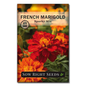 Sow Right Seeds Dwarf Dahlia packet with petite, showy blooms for compact garden borders.