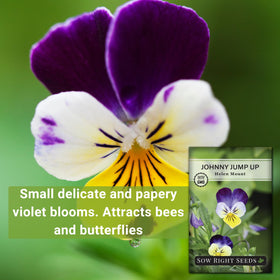 Sow Right Seeds edible Johnny Jump-Up flowers for salads and garnishes.