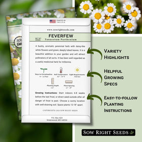 Sow Right Seeds feverfew plant in garden attracts pollinators with white daisies