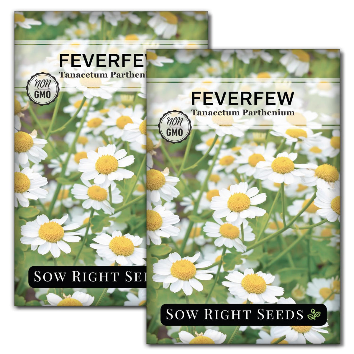 Sow Right Seeds feverfew seed packet front for easy home gardening