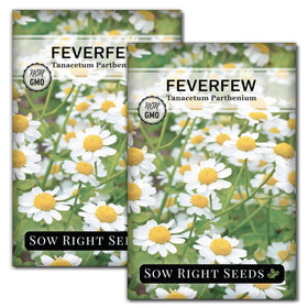 Sow Right Seeds feverfew seed packet front for easy home gardening