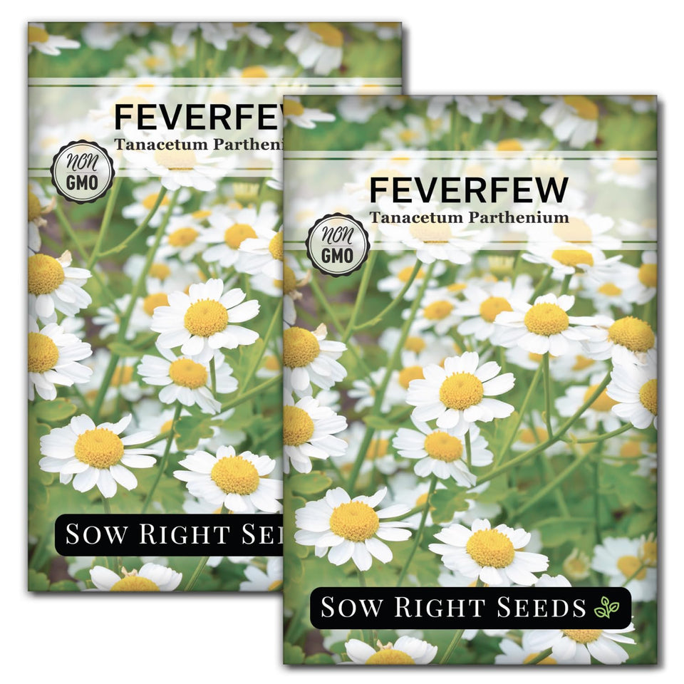 Sow Right Seeds feverfew seed packet front for easy home gardening