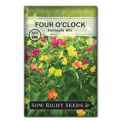 Sow Right Seeds Four-Oclock Formula Mix blooms close-up; attracts pollinators.