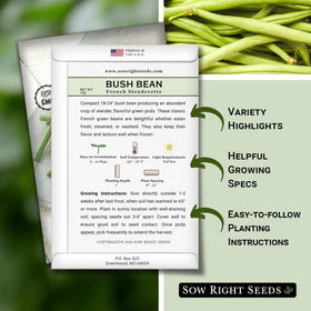 Sow Right Seeds French Slenderette bean pods ready for harvest