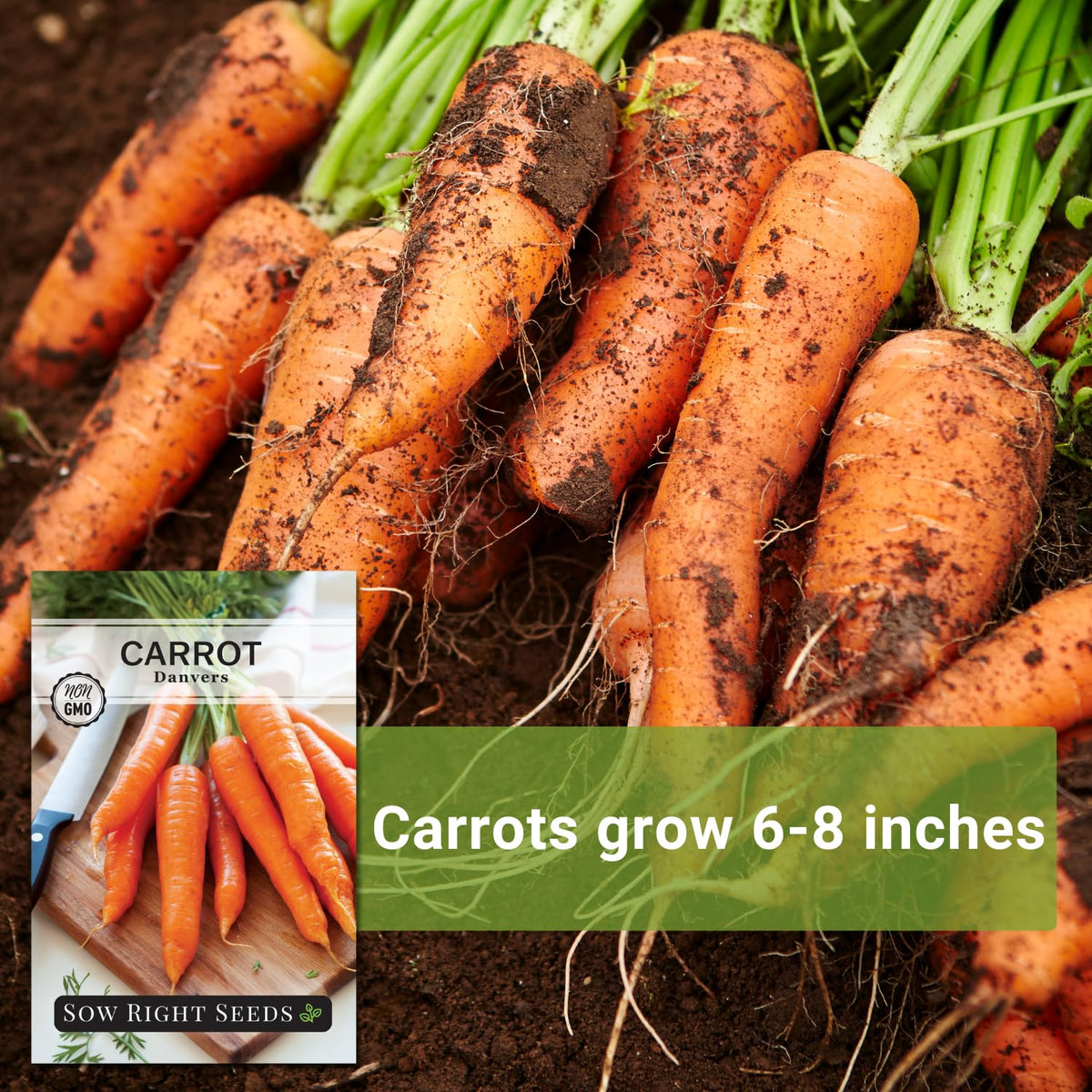 Sow Right Seeds fresh-crisp carrots for flavorful homegrown meals