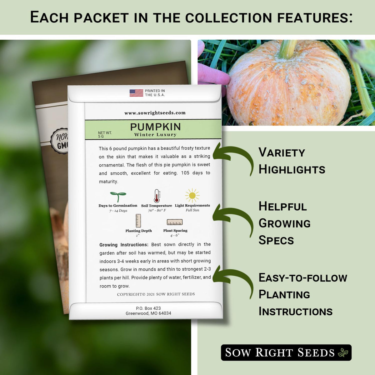 Sow Right Seeds Galeux d’Eysines pumpkin seeds for decorative displays and cooking