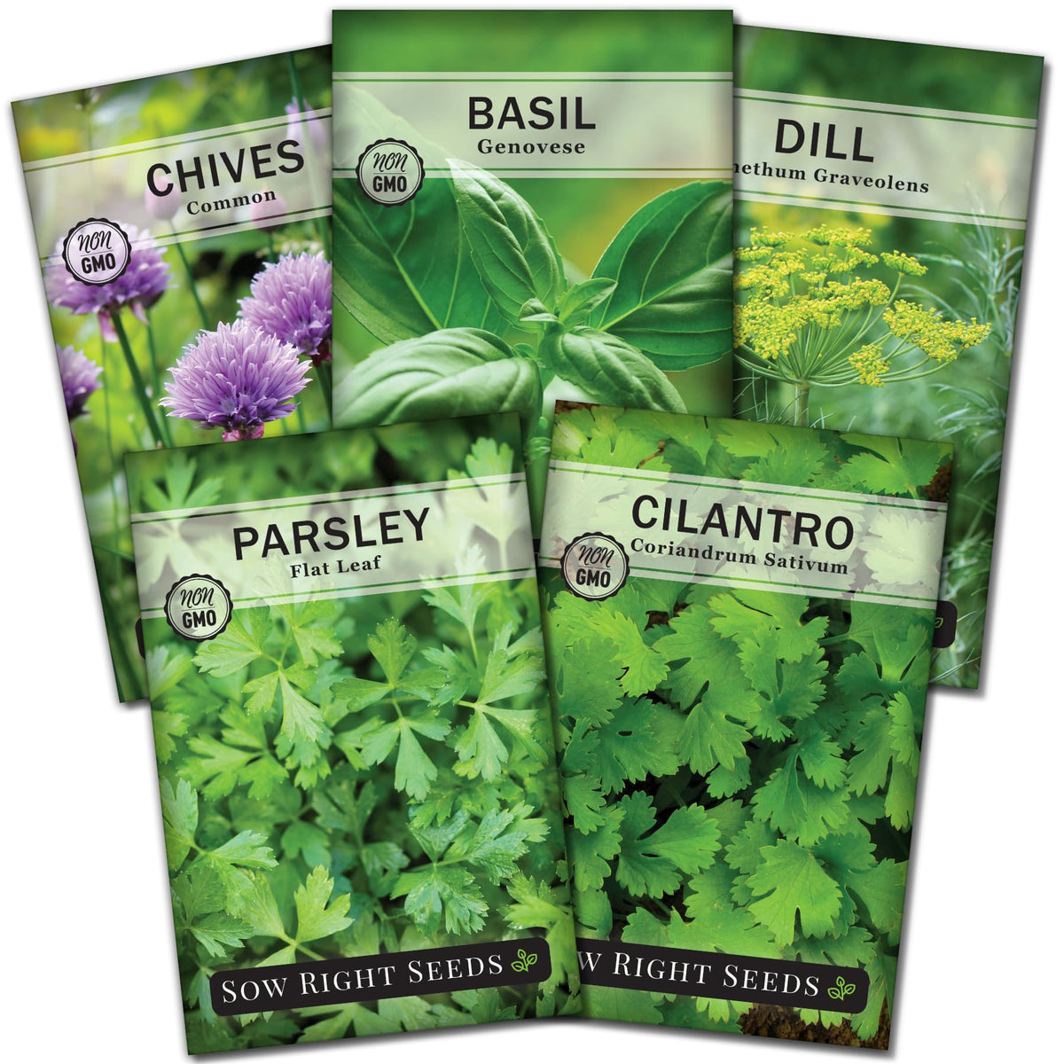 Sow Right Seeds Genovese basil packet for fresh home pesto and cooking