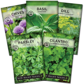 Sow Right Seeds Genovese basil packet for fresh home pesto and cooking