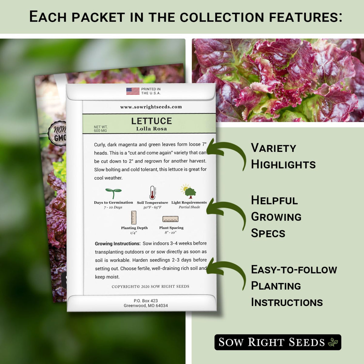 Sow Right Seeds Giant Caesar lettuce packet for crisp leaves.