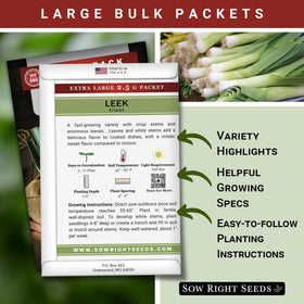 Sow Right Seeds giant leek garden view with tall leaves, signaling a productive harvest.