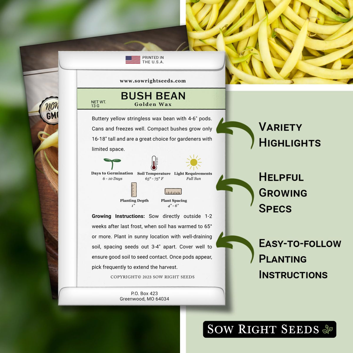 Sow Right Seeds Golden Wax Bean germination view showing quick sprouting in warm soil.